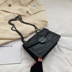 Versatile Chain Shoulder Crossbody Mini Bag