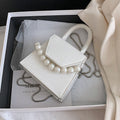 Mini Chain Crossbody Bag